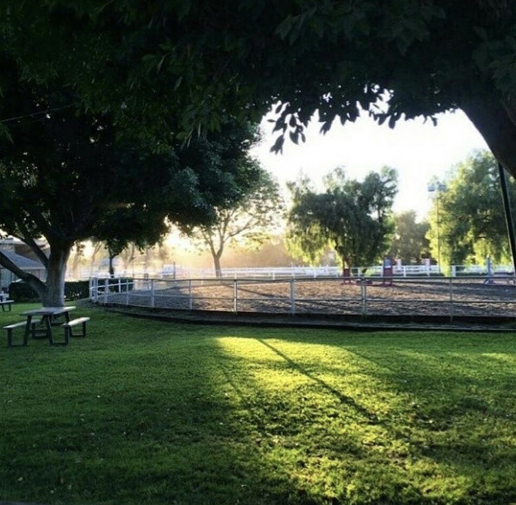 Paddock Riding Club The Paddock Riding Club || 2022 – Grey2Bay